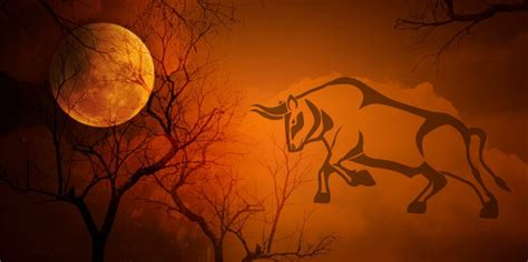 Was Bringt Der Vollmond Im Stier Am 12 November