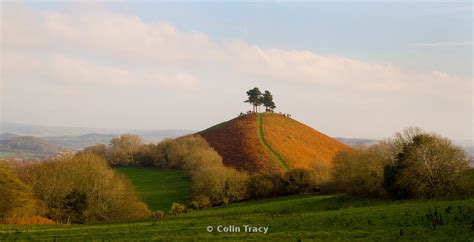 Colin Tracy Photography And Painting Colmers Hill Bridport