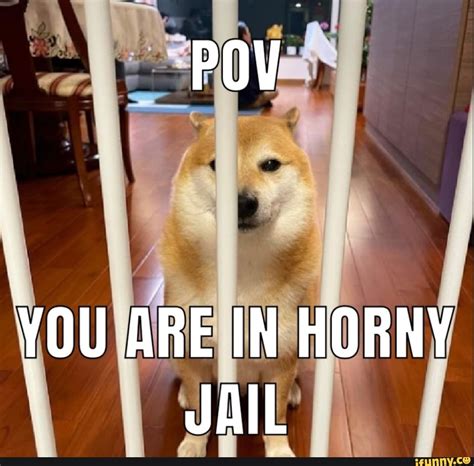 You Are In Horny Jail Ifunny