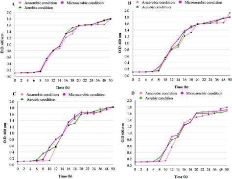 Growth Curves Of Candida Strains Under Aerobic Microaerobic Or