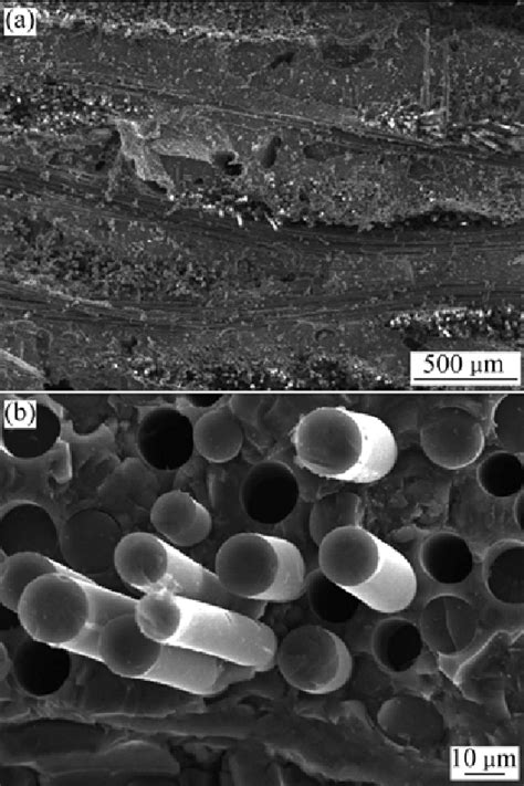 Fracture Morphologies Of D Sic Sic Composites With Cvd Sic