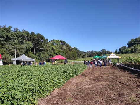 Faculdade Ideau Promove Edi O Do Dia De Campo Das Agr Rias Ideau