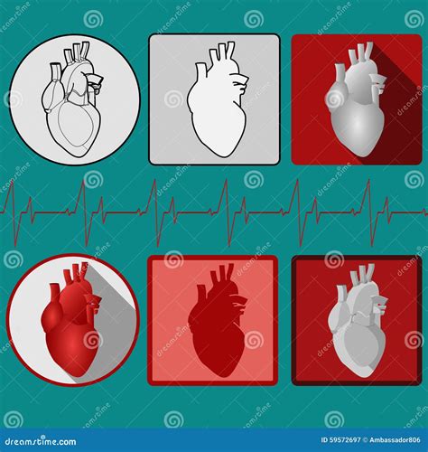 Icône Humaine De Coeur Avec Le Cardiogramme Vecteur Illustration de