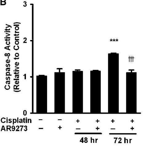 Seh Inhibition Attenuates Cisplatin Induced Activation Of Caspase In