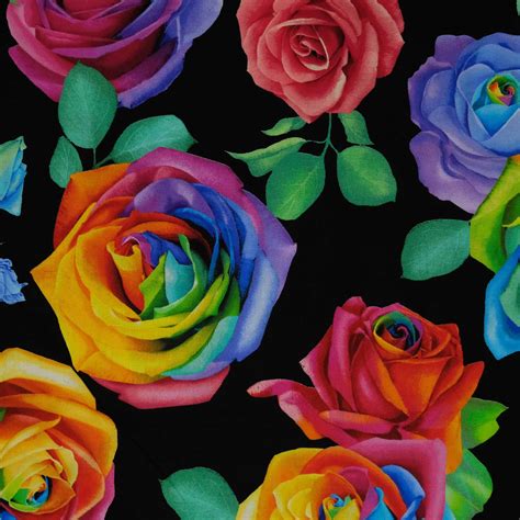 Timeless Treasures Rainbow Rose Cd8948 Large Rainbow Roses Black