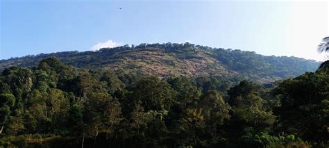 The entrance to Iruppu Falls, Karnataka, India - [OC] [4000x1800] : r ...