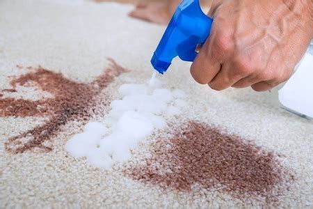 6 Best Portable Spot Cleaners for Carpet Stains 2018 - Appliance Guide