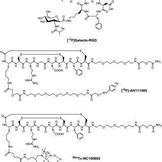 Examples Of Radiolabeled Cyclic Rgd Peptide Monomers As Radiotracers