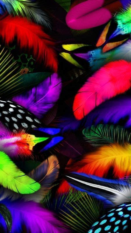 Feather Wallpaper | Feather wallpaper, Pretty wallpapers, Colorful feathers