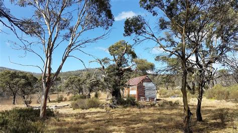 Millers Hut Campground Long Plain Nsw 2629 Australia