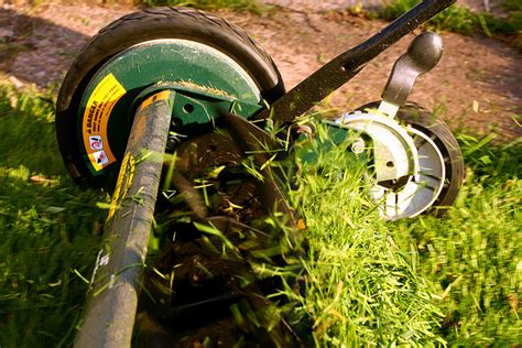 Lawn Update & Checking Your Lawn Mower Blades | Lawns For You