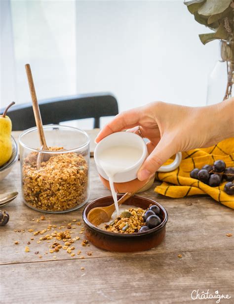 Granola aux graines Faire ses céréales maison