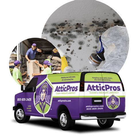 Expert Mold Removal Services By Attic Pros Breathe Easy With A Mold