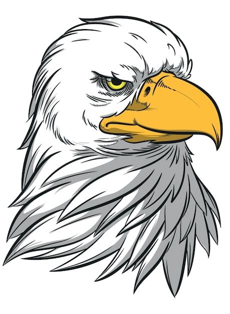 Premium Vector Eagle Head American Patriotic Hawk Bird