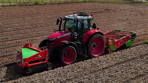 Uien Rooien Laden Harvesting Onions Holaras Massey Ferguson