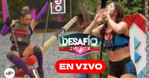 Desafío The Box 2023 Resumen Del Capítulo 78