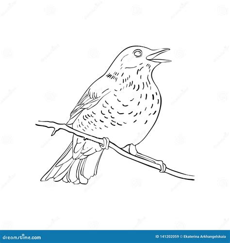 Bird At Tree Branch Stock Vector Illustration Of Bird