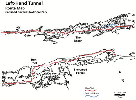 Carlsbad Caverns Maps | NPMaps.com - just free maps, period.