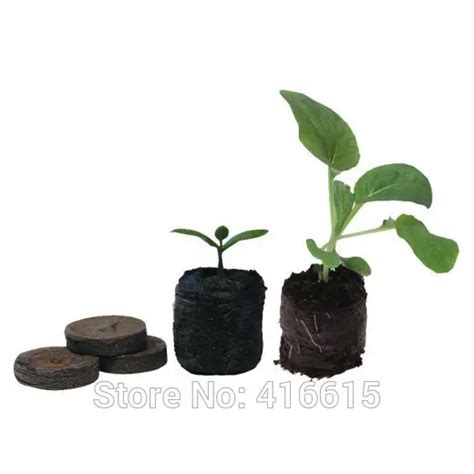 Count Mm Jiffy Peat Pellets Seed Starting Plugs Seeds Starter