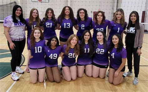 15u Violet Dynamic Impact Volleyball Club