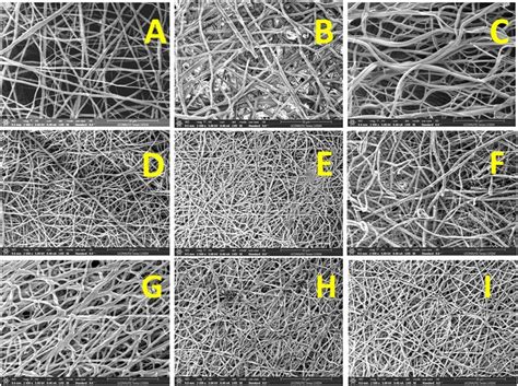 Scanning Electron Microscopy Of Electrospun Fibers Scale Bar M