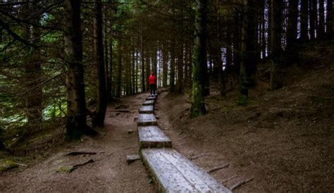 Glendalough Walks Guide 8 Best Trails In 2022 With Map