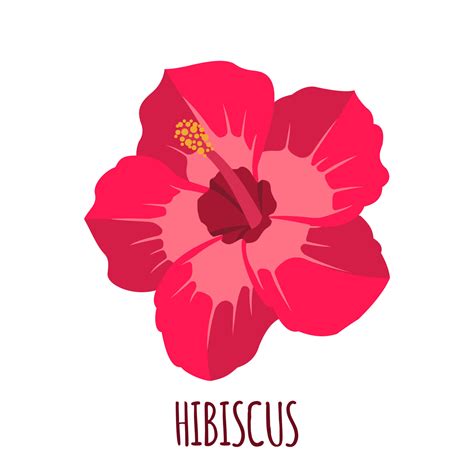 Hibiscus Flower Icon In Flat Style Isolated On White Background Ayurvedic Medicinal Plant