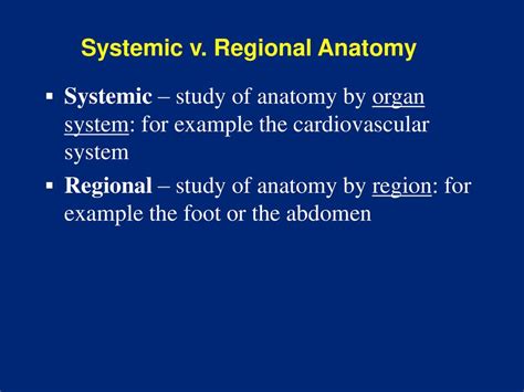 regional anatomy  systemic anatomy