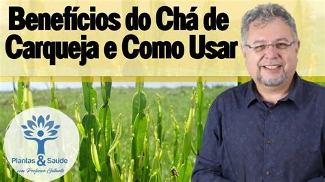 BENEFÍCIOS DO CHÁ DE CARQUEJA E COMO USAR PLANTAS SAÚDE YouTube