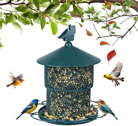 Amazon Coliatik Solar Bird Feeder House For Outside Hanging