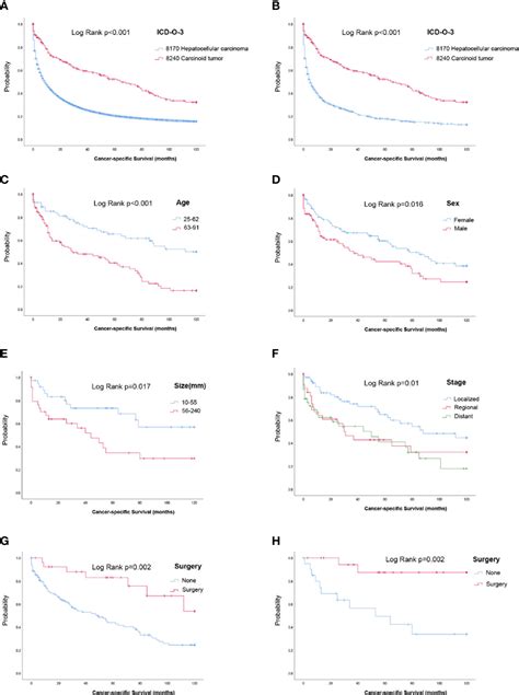 Frontiers The Outcome Of Primary Hepatic Carcinoid Tumor A