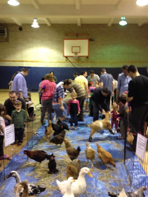 Petting Zoo Parties Ny Nyc Nj Ct Long Island