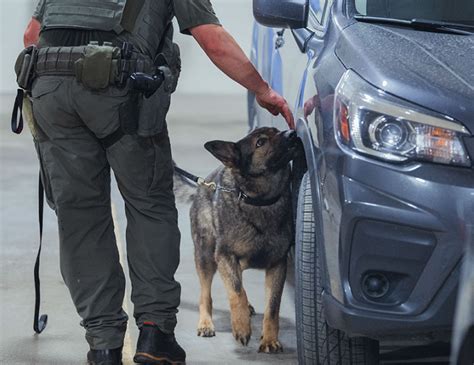 RCMP Police Dog Services thanks New Brunswick Residents | Royal ...