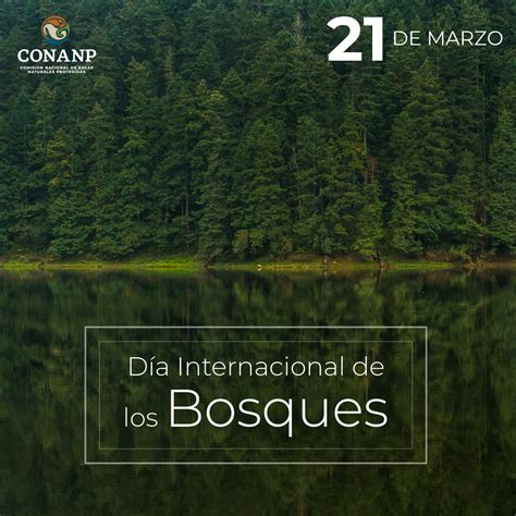 Día Internacional de los Bosques Comisión Nacional de Áreas Naturales