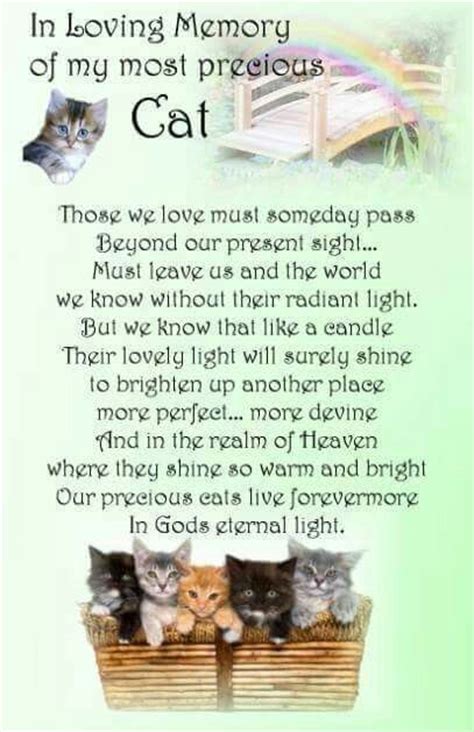 73 Poems about Cats ideas in 2021 | pet loss grief, poems, cats