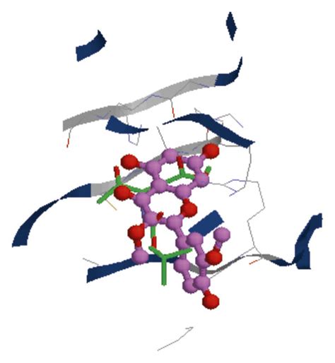 Molecular Docking Models Of Target Proteins With Bioactive Compounds