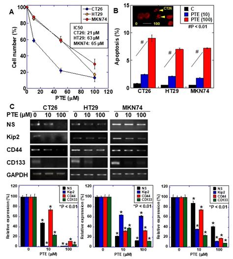 Effect Of Pterostilbene PTE On Cell Proliferation And Expression Of