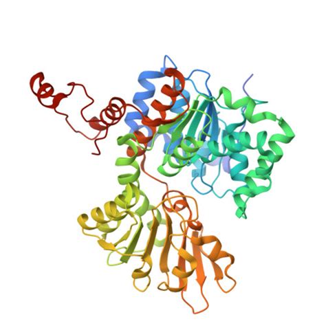 RCSB PDB 5V96 Crystal Structure Of S Adenosyl L Homocysteine