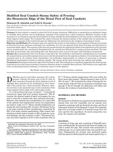 (PDF) Modified Ileal Conduit Stoma: Safety of Freeing the Mesenteric ...