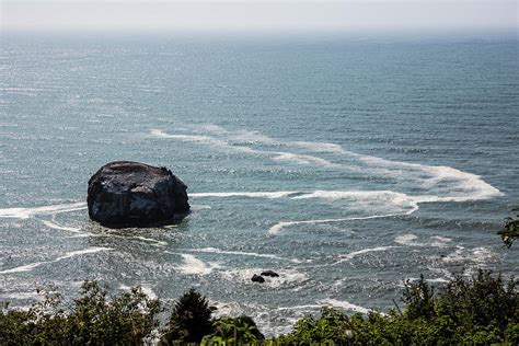 Redwood National Park Beach Photograph by Patrick Barron - Pixels