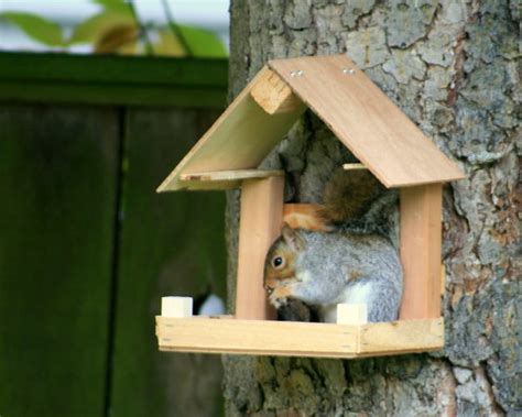 Plans to build Build Squirrel Feeder PDF Plans