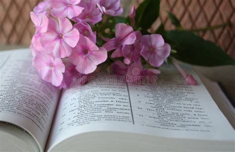 Open Bible And Lilac Flowers Stock Image Image Of Depth Religion