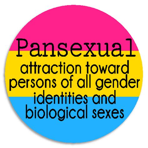 Pansexual Definition 100 Pack Circle Stickers 3 Inch Lgbtq Pride Flag Ebay