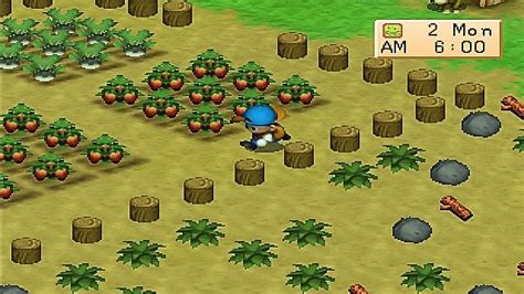 Harvest Moon Picture Image Abyss