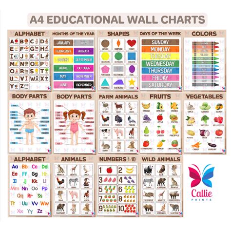 A4 Laminated Educational Posters Makapal Alphabets Numbers Days