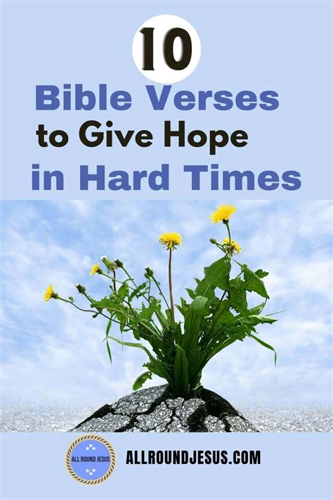 10 Bible Verses To Keep Hope Alive in Hard Times | All Round Jesus