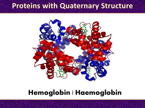 The Quaternary Structure of Protein