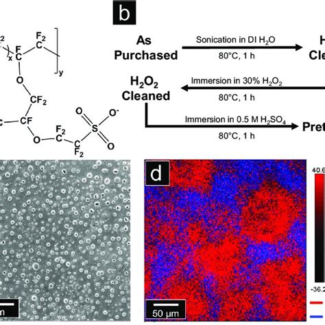 C S A O S B F S C And S P D Spectra Of Nafion Membranes After