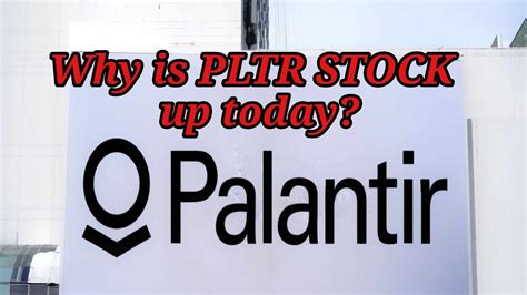 Pltr Stock Alert Why Is Palantir Up Today Youtube