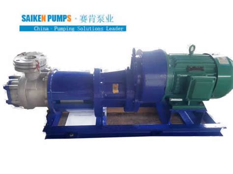 China Magnetic Drive Gear Pump Manufacturer, PTFE/PEEK GEARS - china saiken pumps